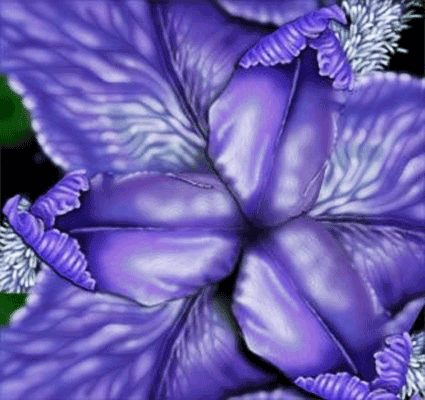 A purple Iris digital illustration rendered in Photoshop.
